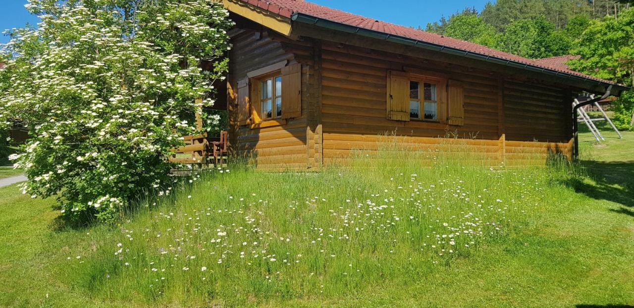 Blockhaus Stamsried Villa Екстериор снимка