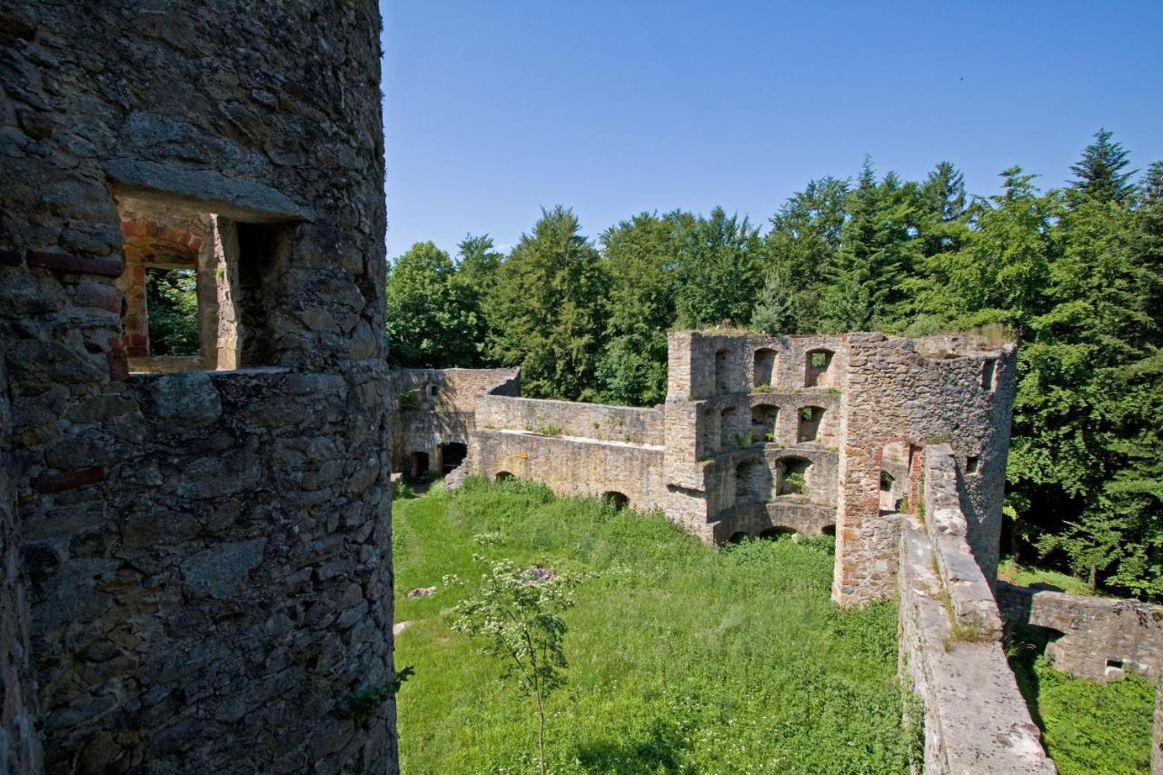 Blockhaus Stamsried Villa Екстериор снимка
